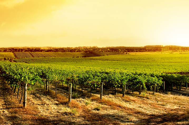 Free HTML5 Bootstrap Template by FREEHTML5.co