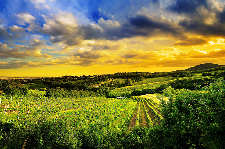 Free HTML5 Bootstrap Template by FREEHTML5.co