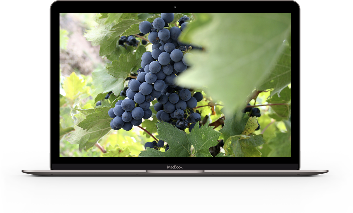 Free HTML5 Bootstrap Template by FREEHTML5.co